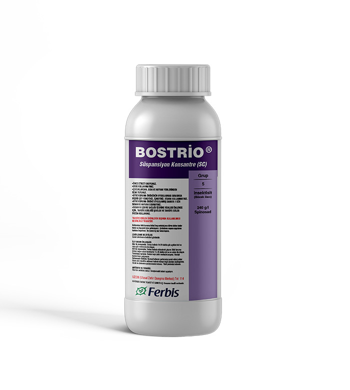 Bostrio