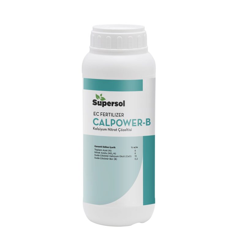 CALPOWER B