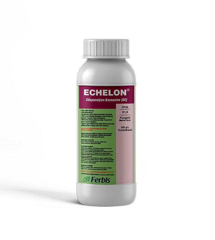 Echelon