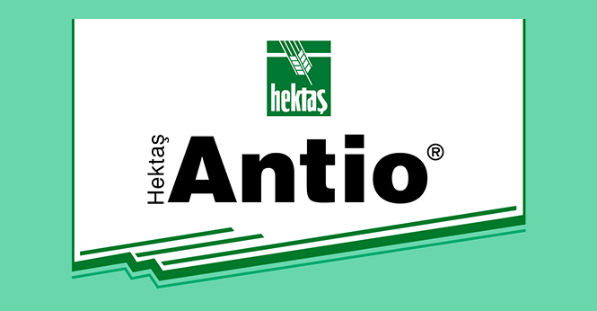 HEKTAŞ ANTIO®