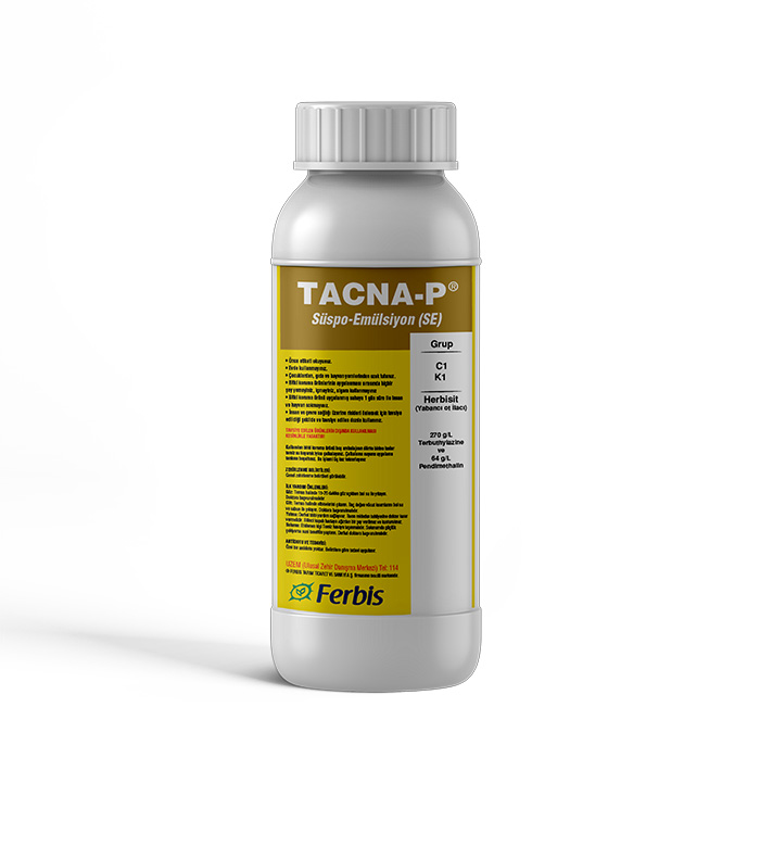 Tacna-P