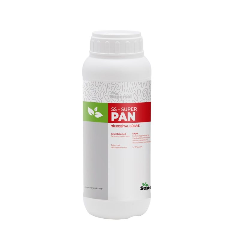 SS-SUPER PAN