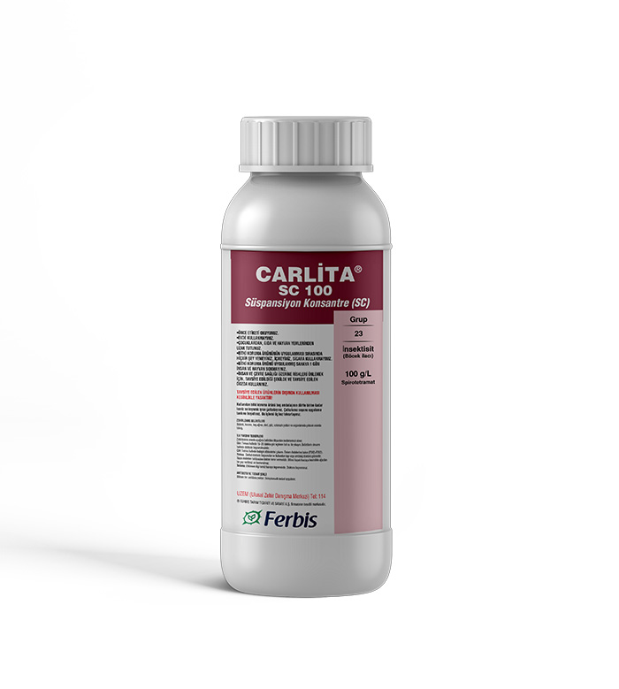Carlita SC 100