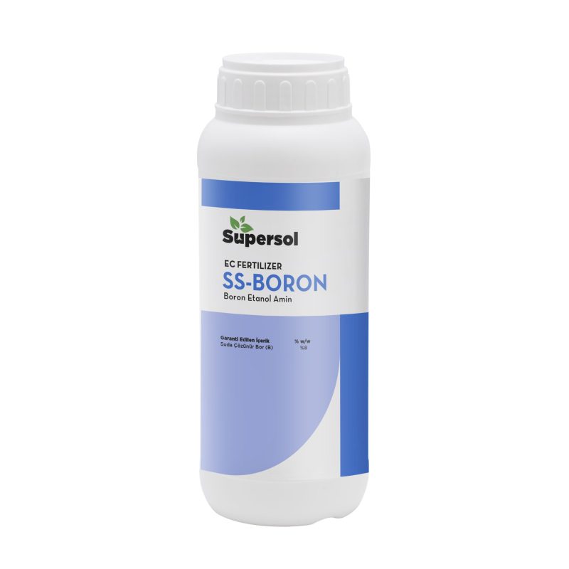 SS-BORON