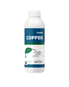 Copper