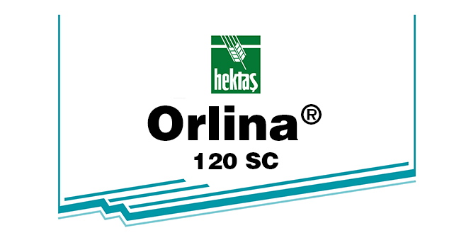 ORLİNA® 120 SC