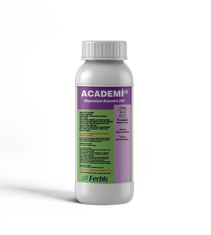 Academi