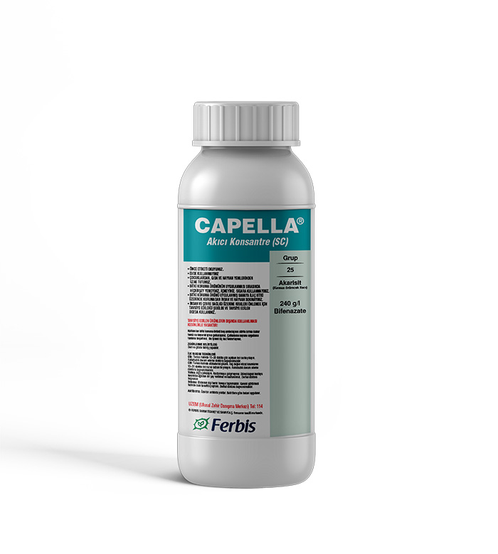 Capella