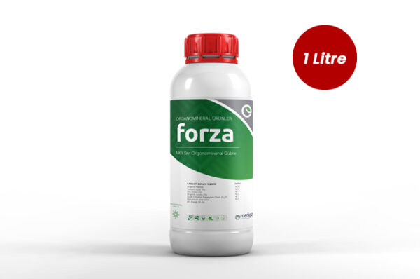 Forza
