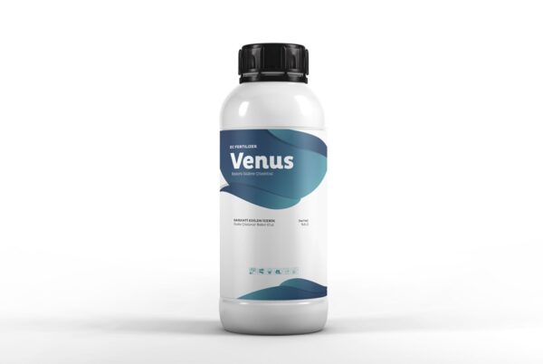 Venüs
