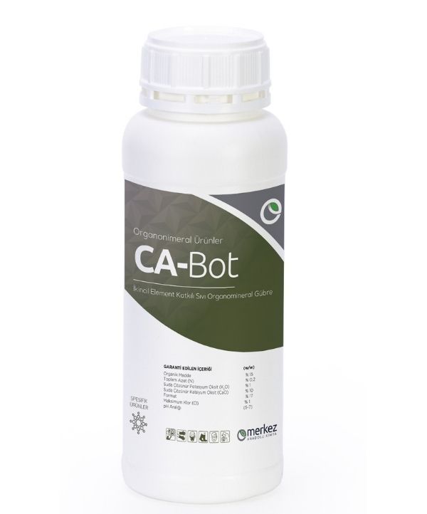 CA BOT
