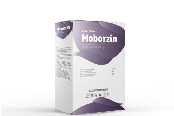 Moborzin