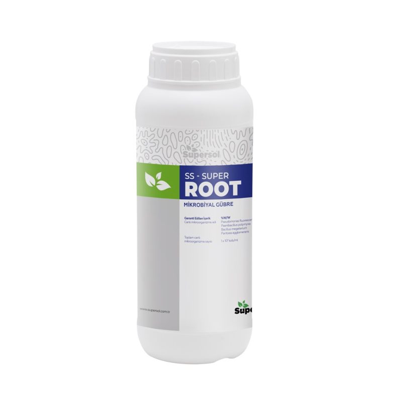 SS-SUPER ROOT