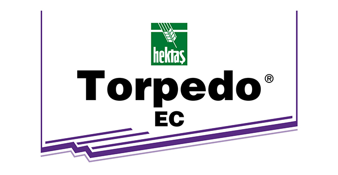 TORPEDO® EC