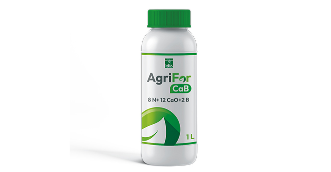AgriFor CaB
