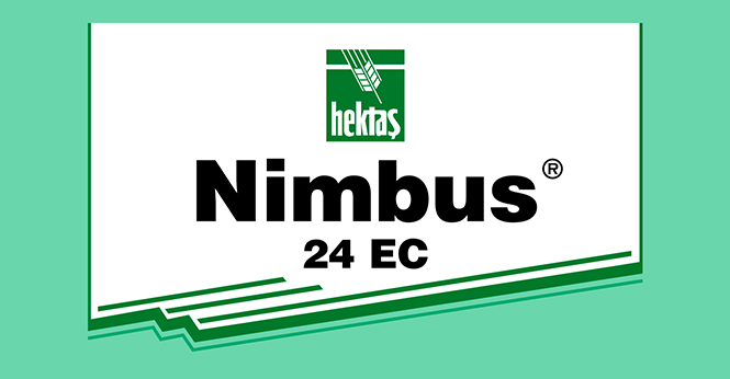 NİMBUS® 24 EC