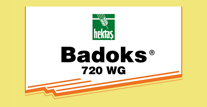 BADOKS® 720 WG