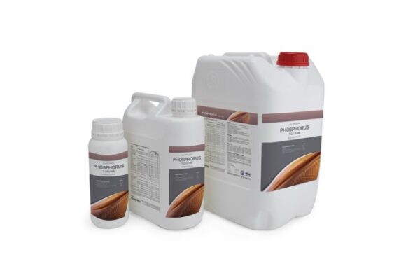 Phosphorus