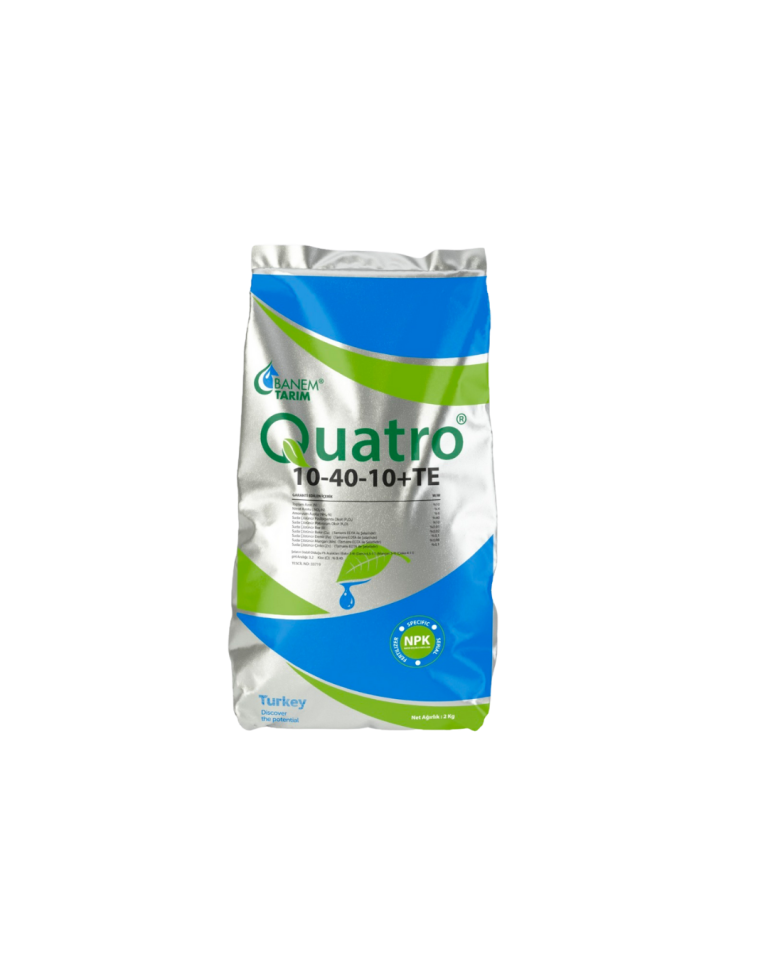 QUATRO
