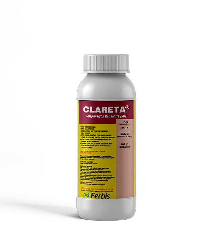 Clareta