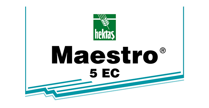 HEKTAŞ MAESTRO® 5 EC