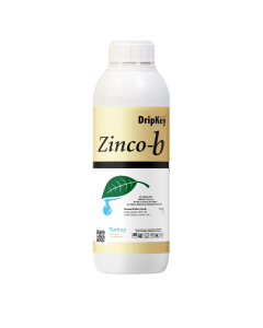 Zinco-B