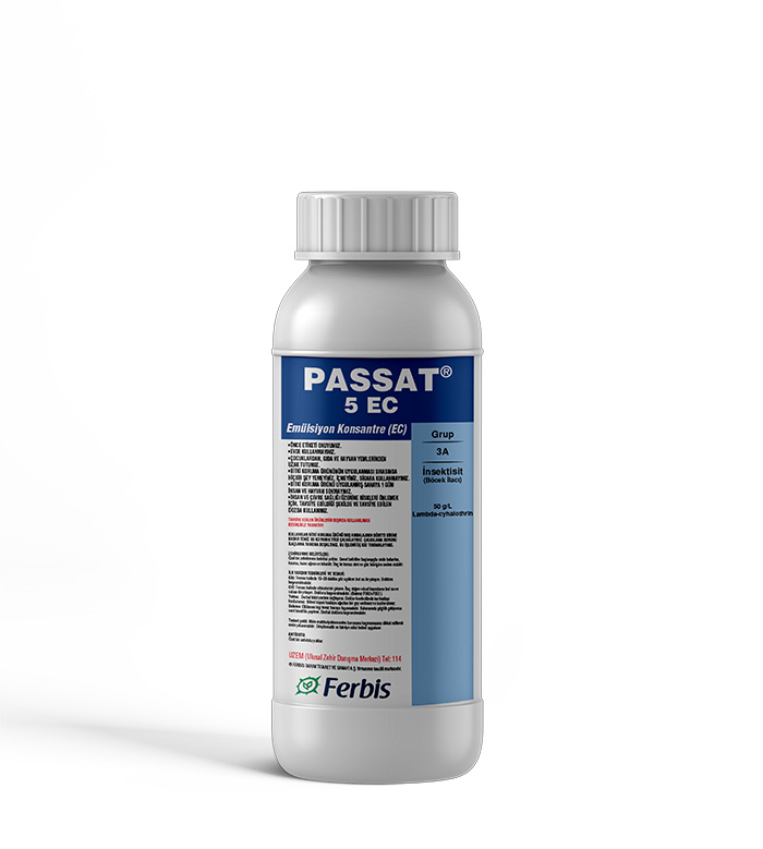 Passat 5 EC
