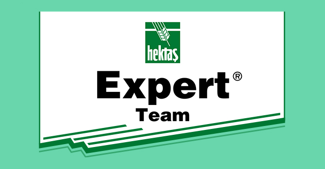 EXPERT® TEAM