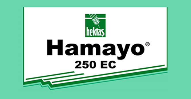 HAMAYO® 250 EC