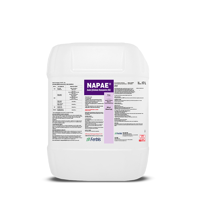 Napae