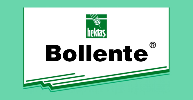 BOLLENTE®