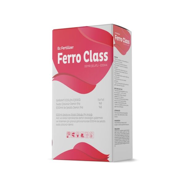 Ferro Class