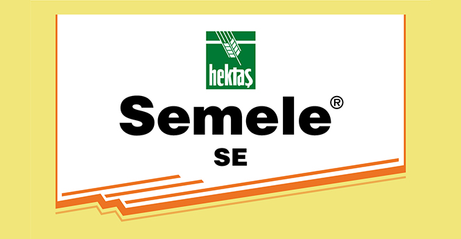 SEMELE® SE
