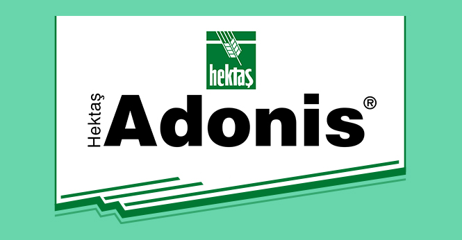 HEKTAŞ ADONİS®