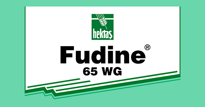 FUDINE® 65 WP