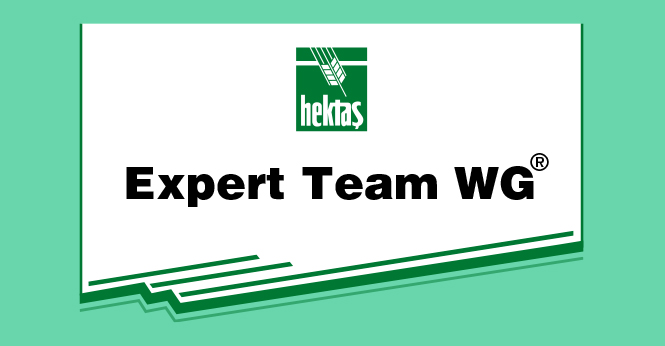EXPERT® TEAM WG
