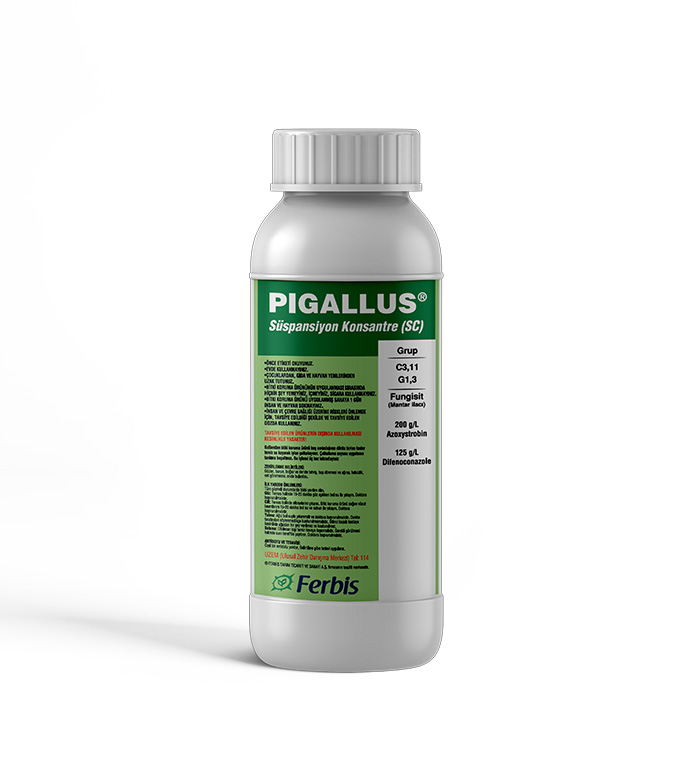 Pigallus