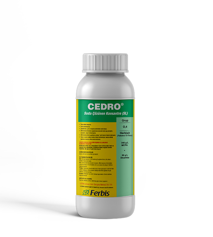 Cedro