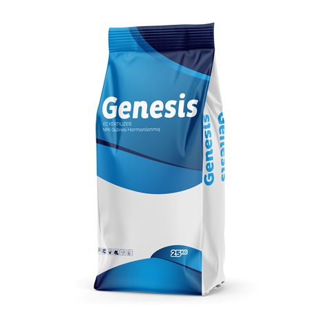 Genesis