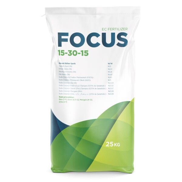 Focus