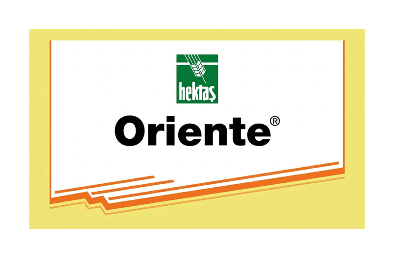 ORİENTE®