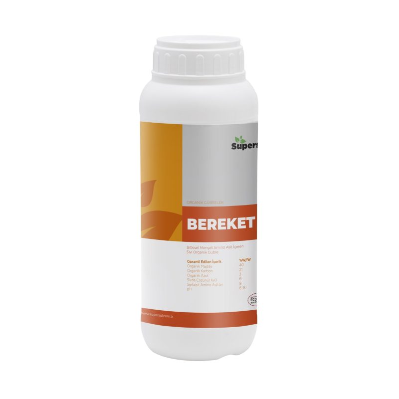 BEREKET