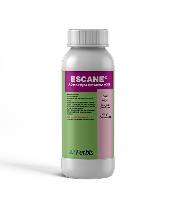 Escane