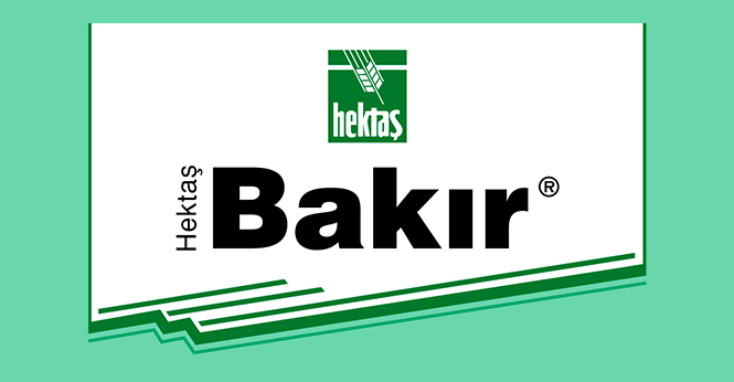 HEKTAŞ BAKIR®