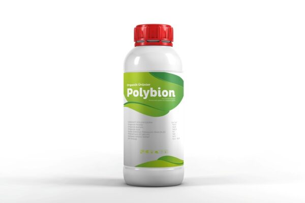 Polybion