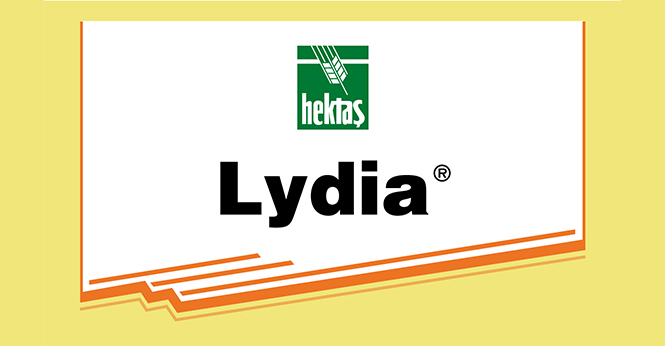 LYDIA®