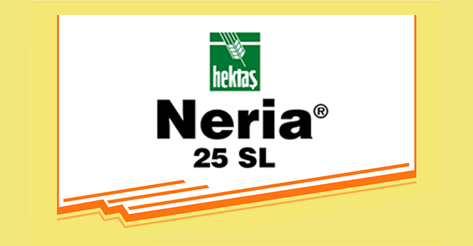 NERIA® 25 SL
