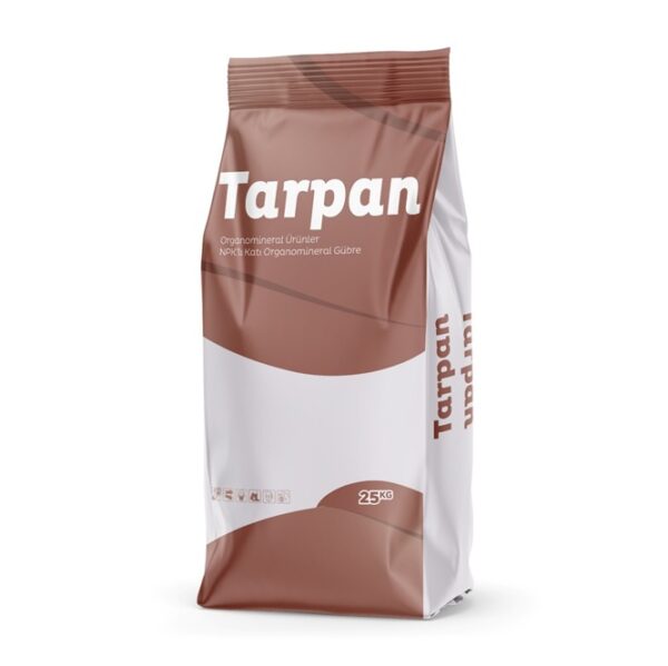 Tarpan
