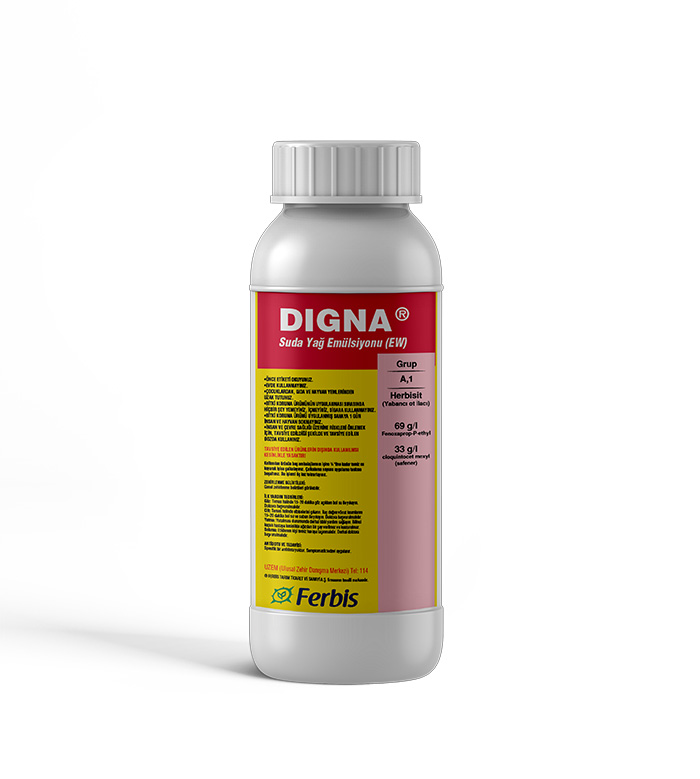 Digna
