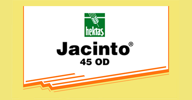 JACİNTO® 45 OD